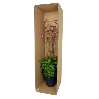 Plant shipping box WS, 118.5 x 30 x 24 cm, 10 pieces | Kundfavorit
