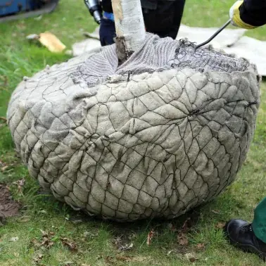 Typ VRC - Ballierkorb Größe 2,5 Ø 55 cm, 50 Stück - Sista dagarna