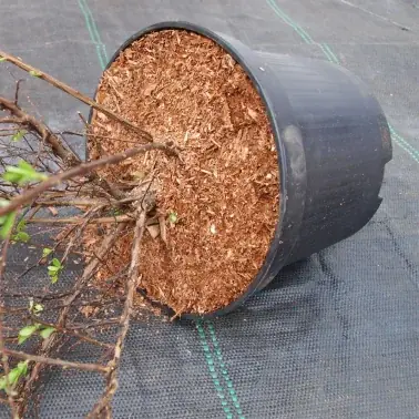 TerrAktiv container mulch, 70 liter | Nytt lägre pris