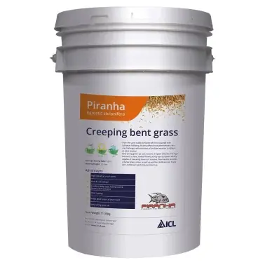 Piranha Agrostis stolonifera mélange de semences de gazon, 11,35 kg | Rabatt