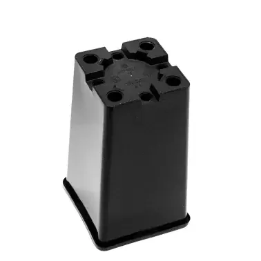Beställ idag | Pot à roses 4,0 l, carré, noir, filet = 58 pièces