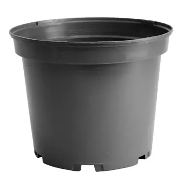 Rabatt | SX container 7.5 l, anthracite WF, PCR, pallet = 1,120 units