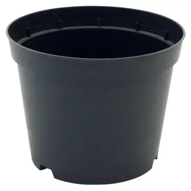 Endast ett fåtal kvar | SM-H behållare 2,5 l, netto = 78 st