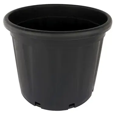 Etna Container 65 l, 55 x 40 cm, schwarz - Specialerbjudande