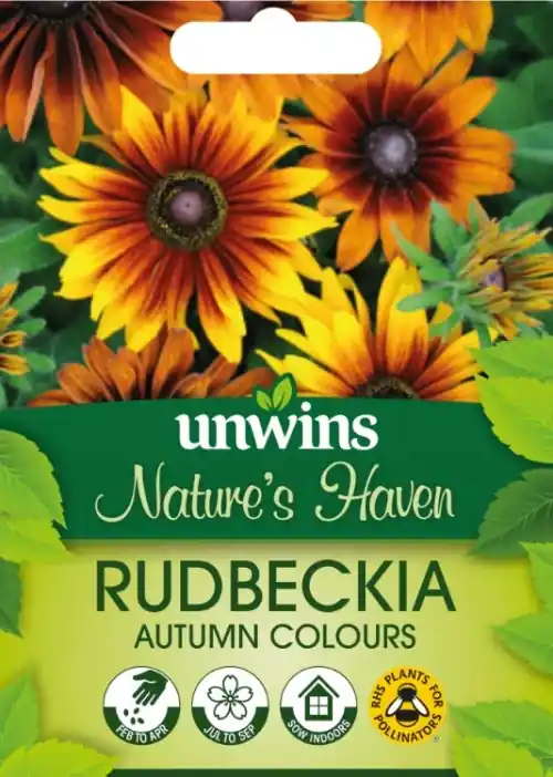 Snart slut - Sommarrudbeckia ‘Autumn Colours‘