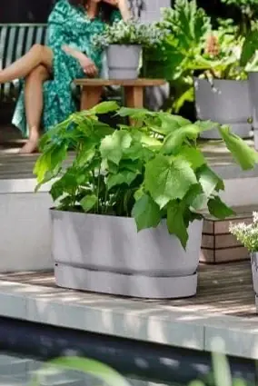 Greenville Terrace Blomlåda med hjul 60cm - Living Concrete | Direkt från fabriken