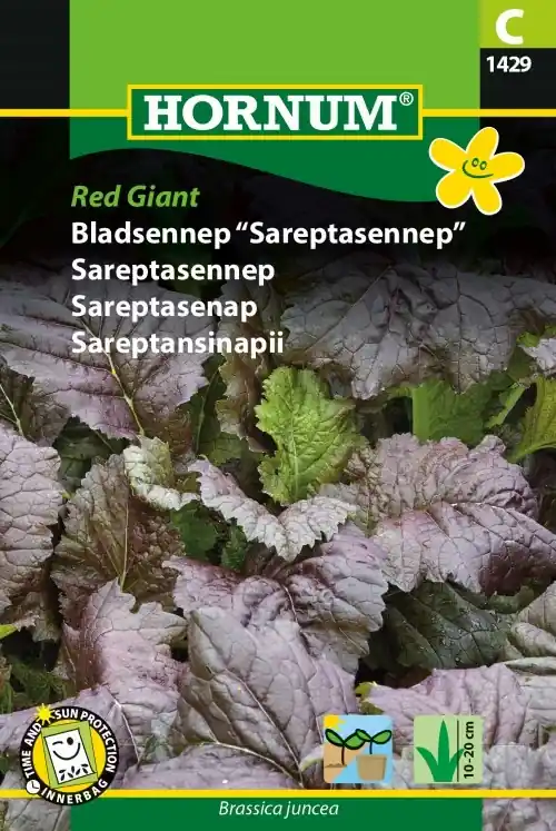 Bästa pris - Asiatiskkål Bladsenap ‘Red Giant‘