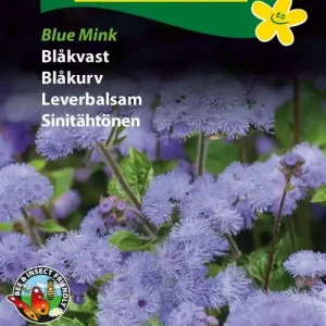 Ageratum ‘Blue Mink‘ | Missa inte erbjudandet